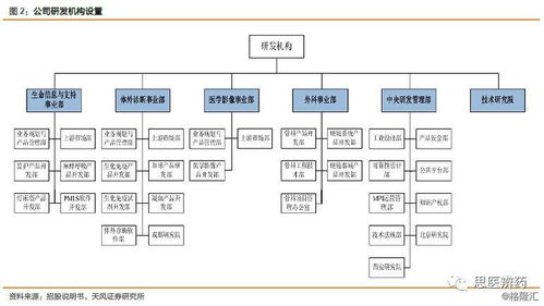 迈瑞医疗百页深度 迈瑞人看迈瑞再上市 下